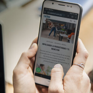 POST DE CONTENIDOS la apcWEB